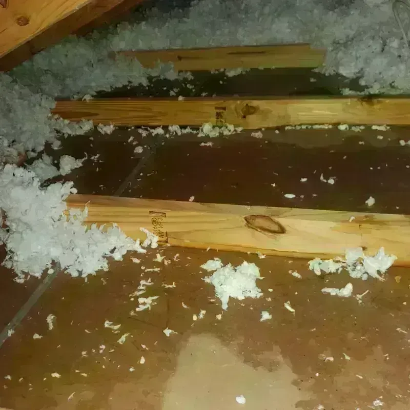 Attic Water Damage in Attalla, AL